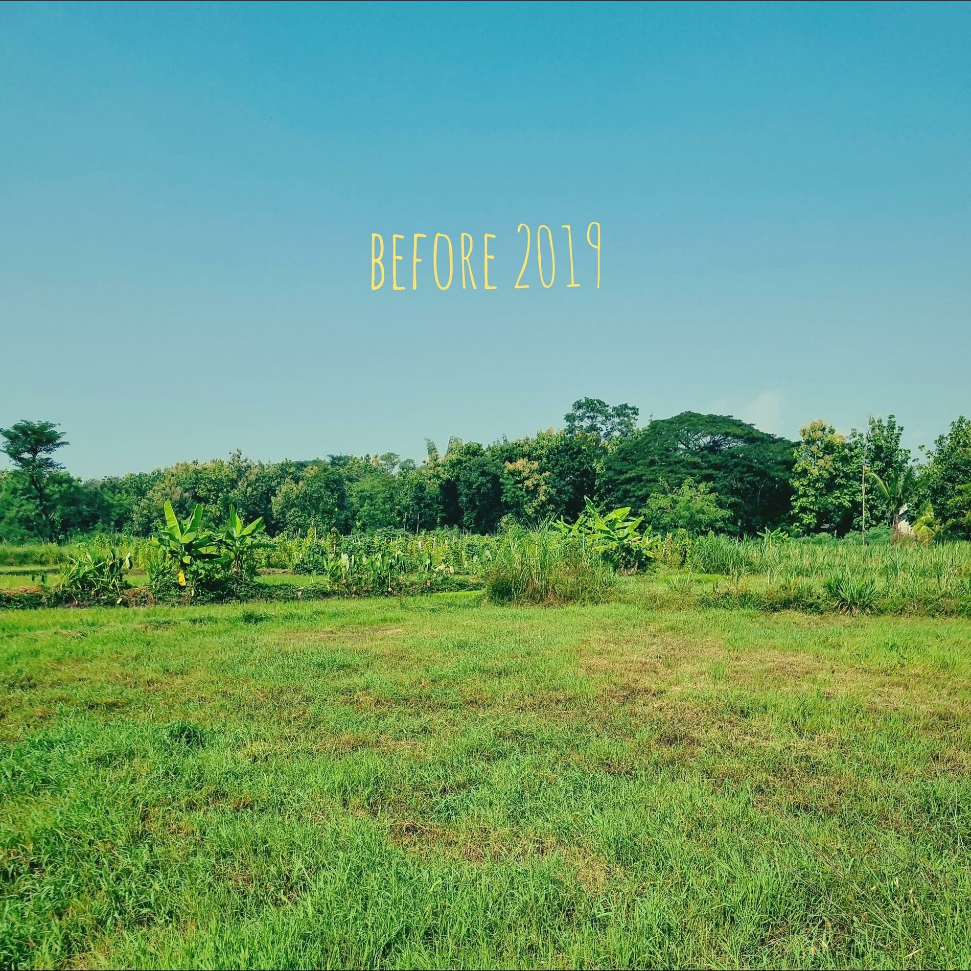 Album cover of Before 2019