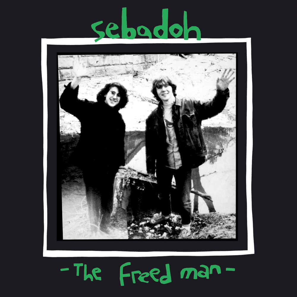 Picture of The Freed Man
