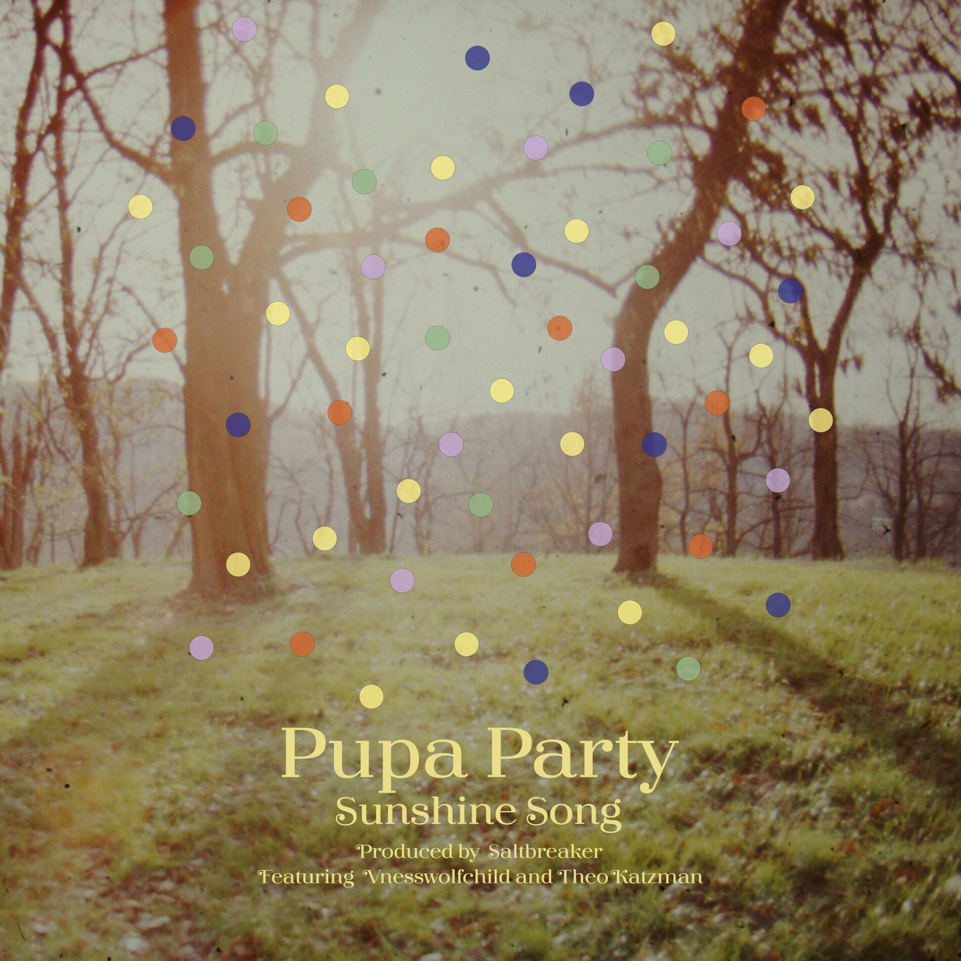 Album cover of Sunshine Song (feat. vnesswolfchild & Theo Katzman)