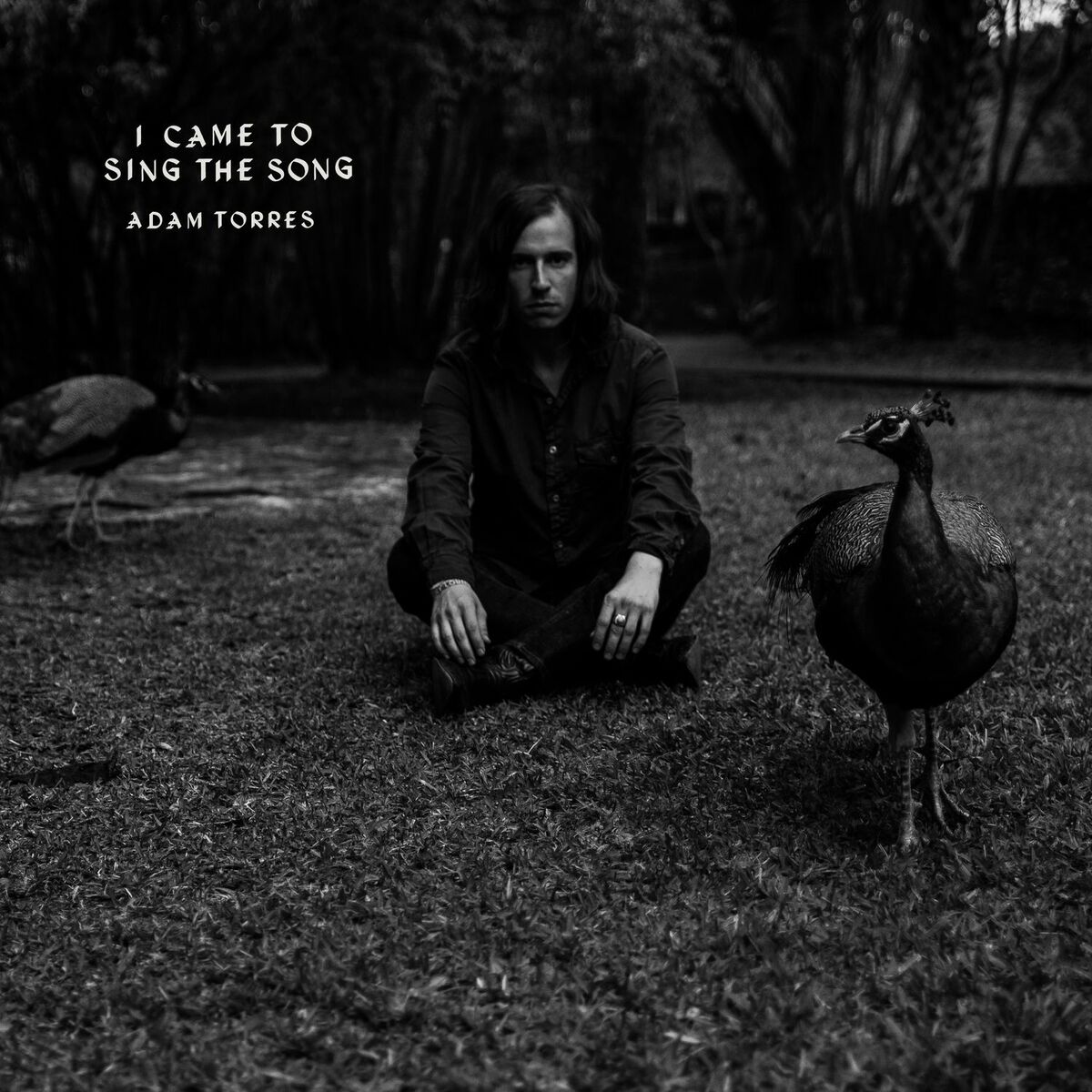 Album cover of I Came to Sing the Song