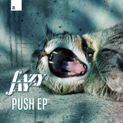 Cover of Push EP