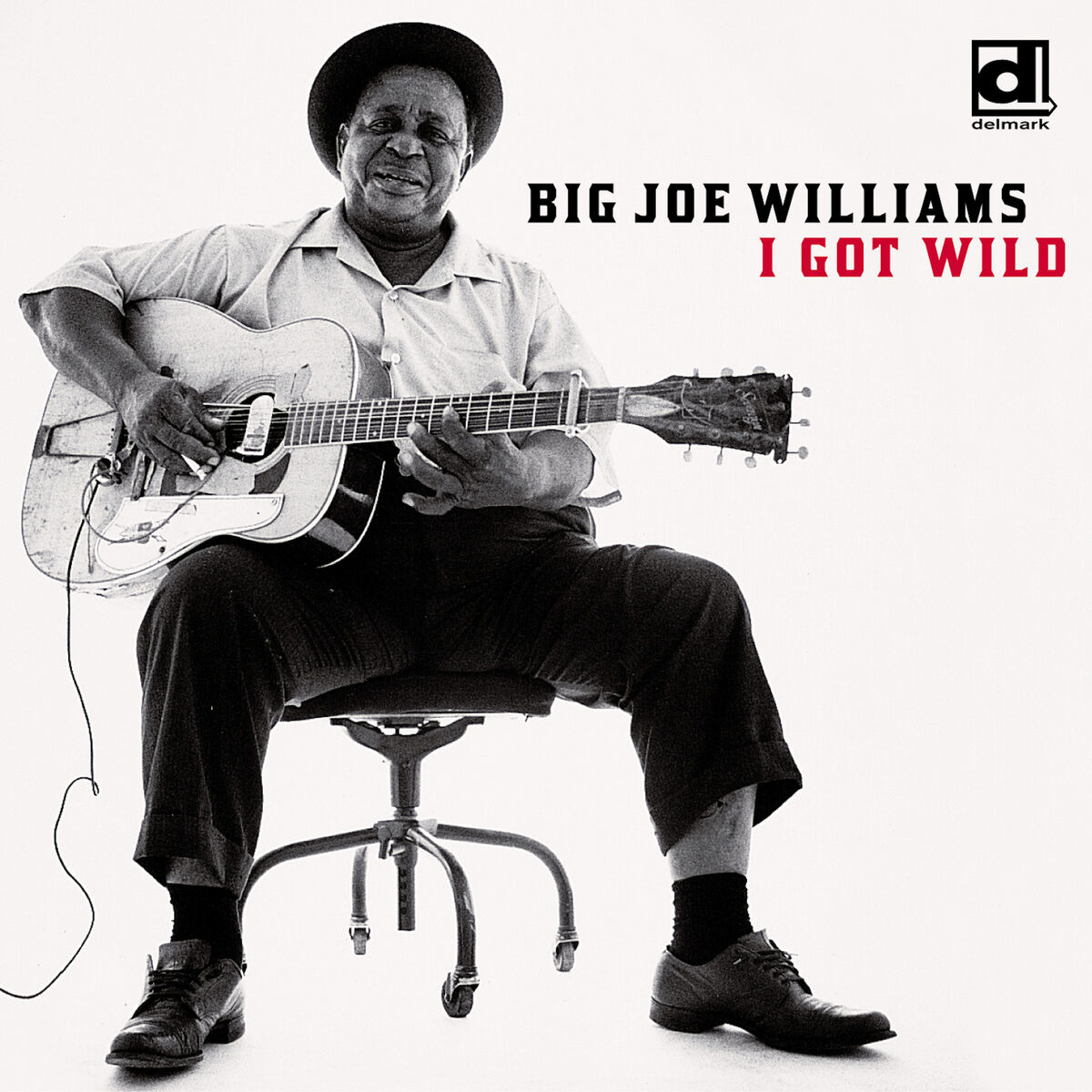Big Joe Williams: albumy, piosenki, koncerty | Deezer