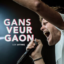 Cover of Gans Veur Gaon