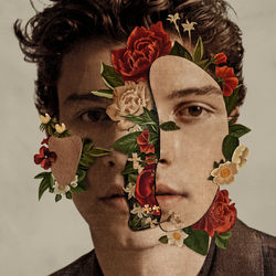 Cover of Shawn Mendes (Deluxe)