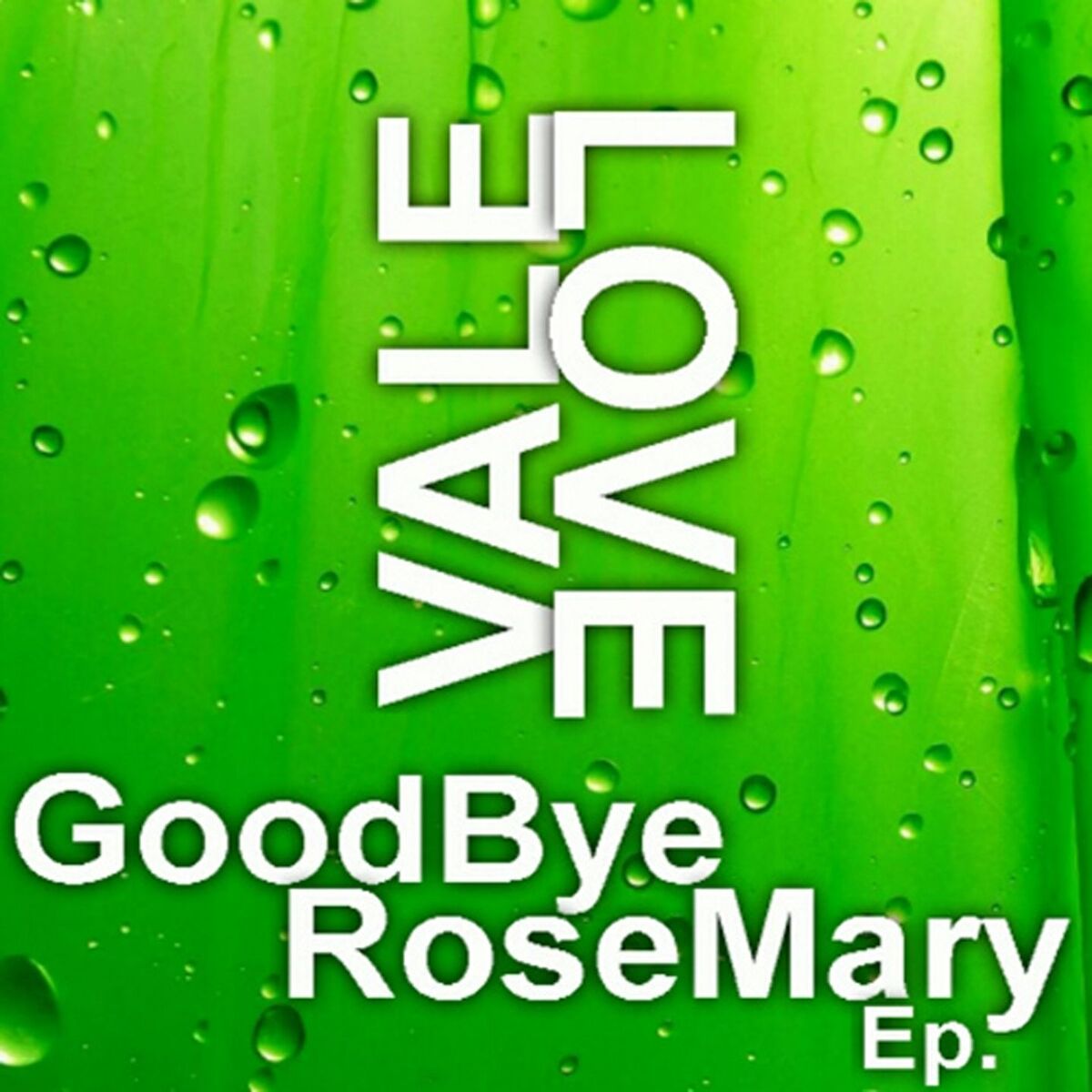 Album cover of Goodbye Rosemary EP