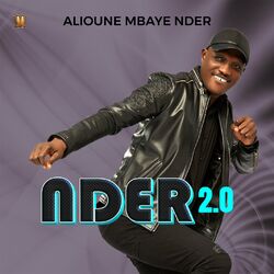 Cover of NDER 2.0
