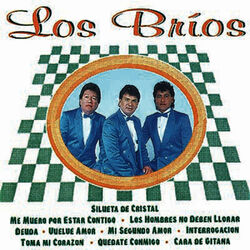 Cover of Los Brios
