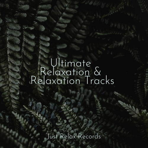 Ultimate Relaxation & Relaxation Tracks