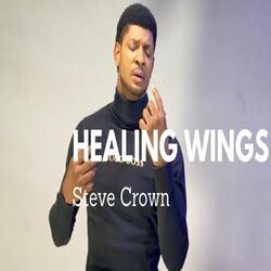 Cover of Healing Wings