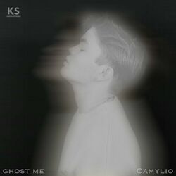 Cover of ghost me