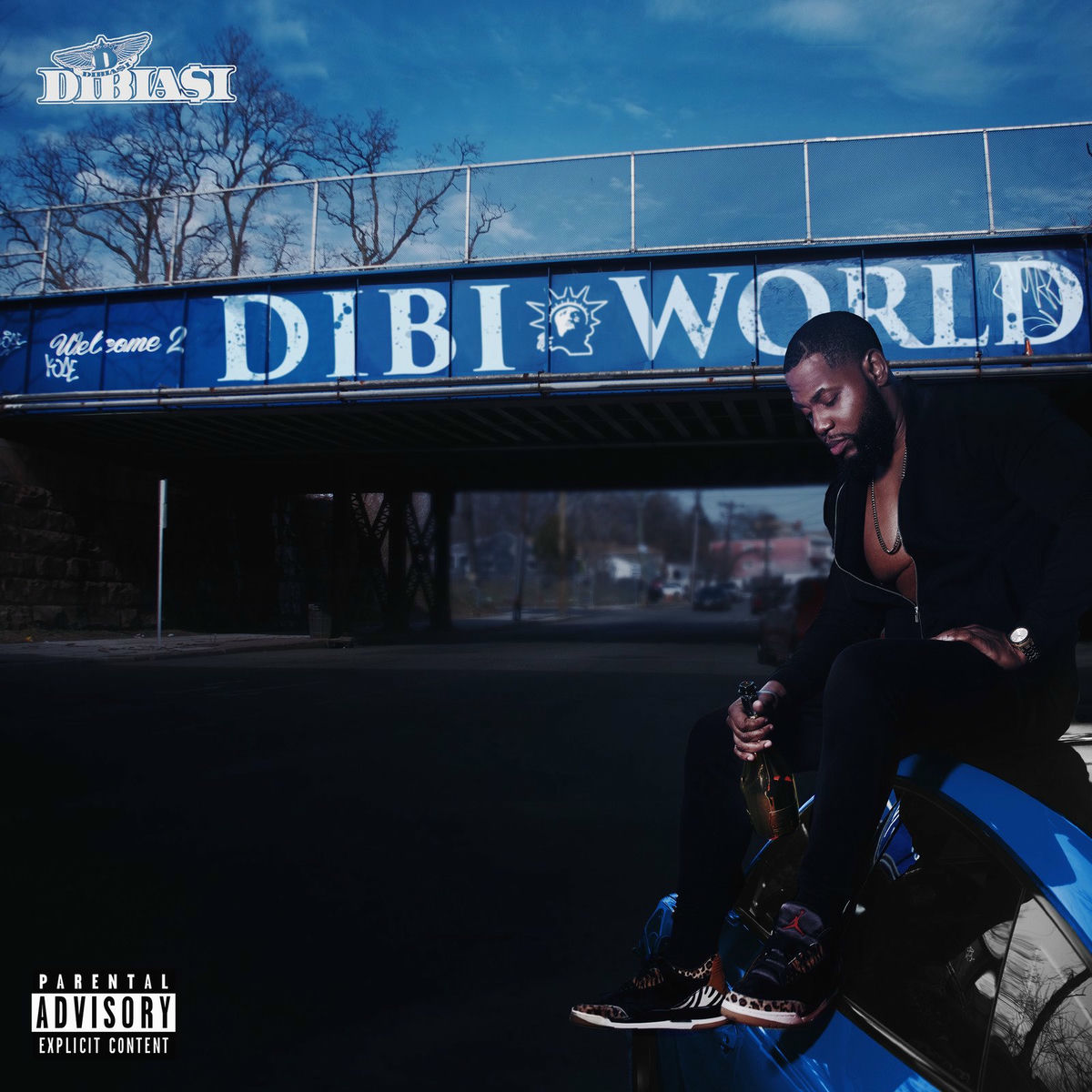 Album cover of Welcome 2 Dibi World