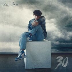 Cover of 30