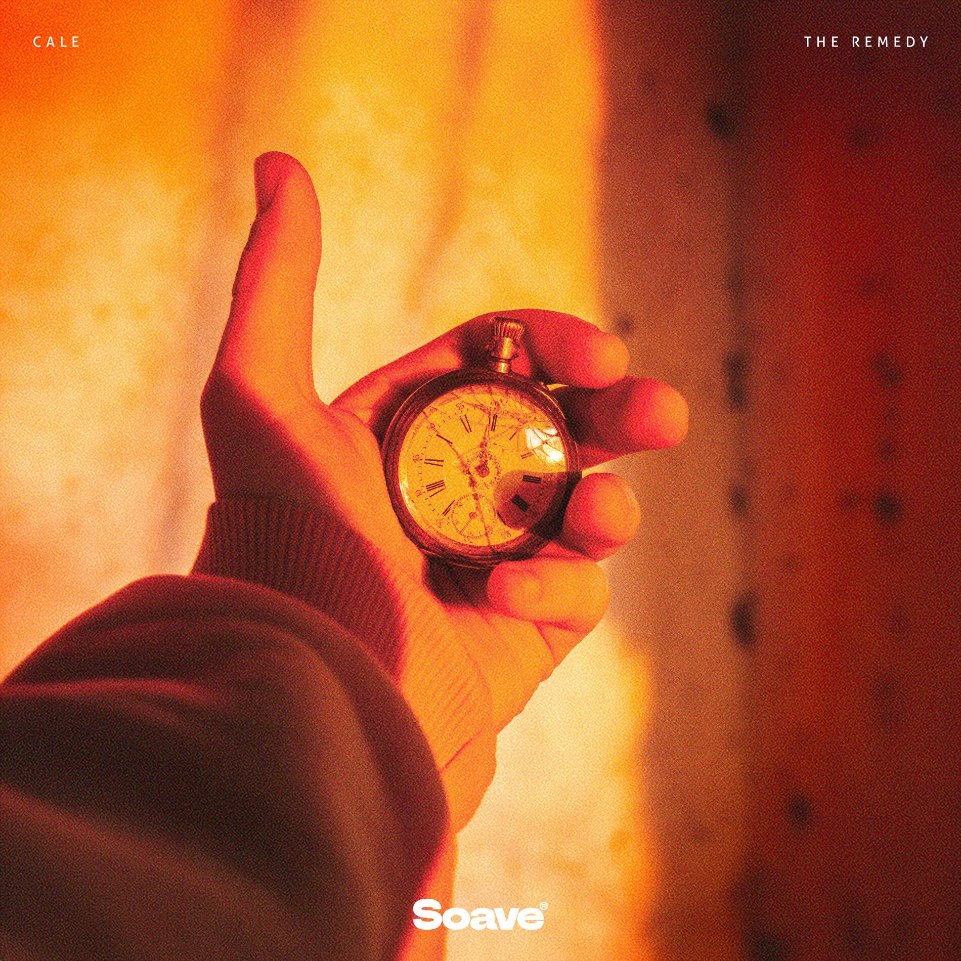 Album cover of The Remedy