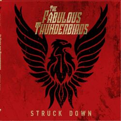 Cover of Struck Down