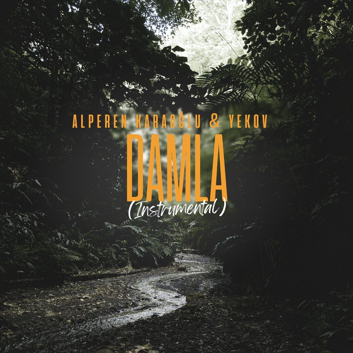 Album cover of Damla (Instrumental)