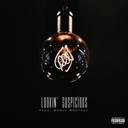 Cover of Lookin' Suspicious