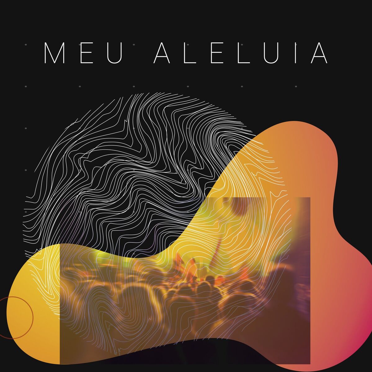 Album cover of Meu Aleluia