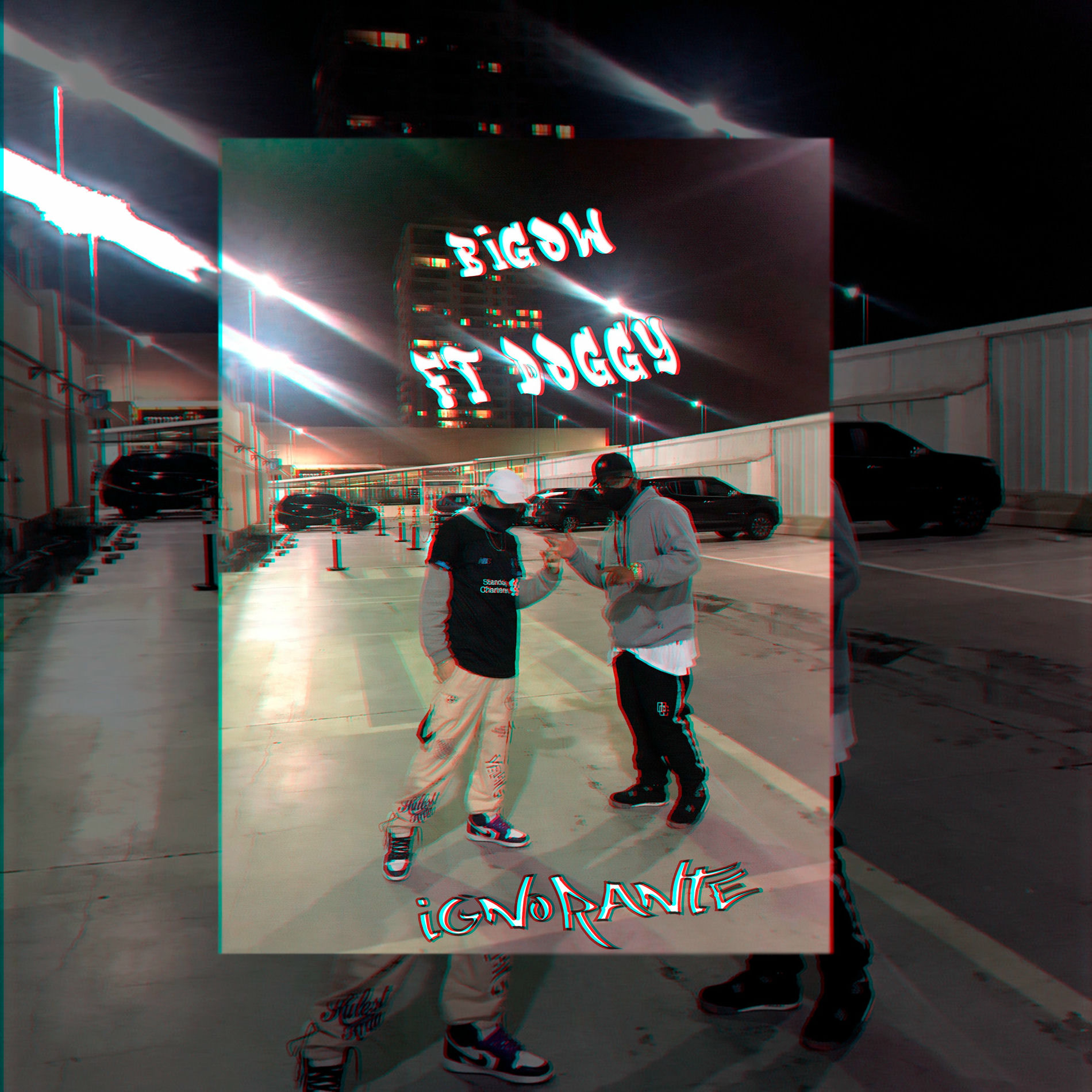 Album cover of Ignorante