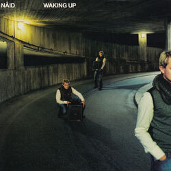 Cover of Waking Up