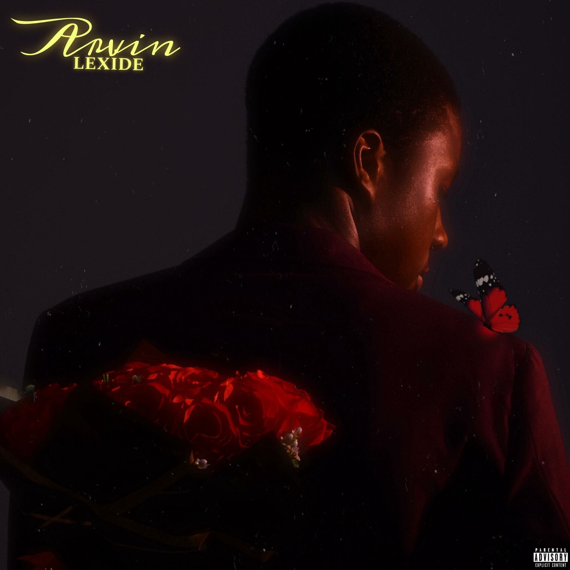 Album cover of ARVIN