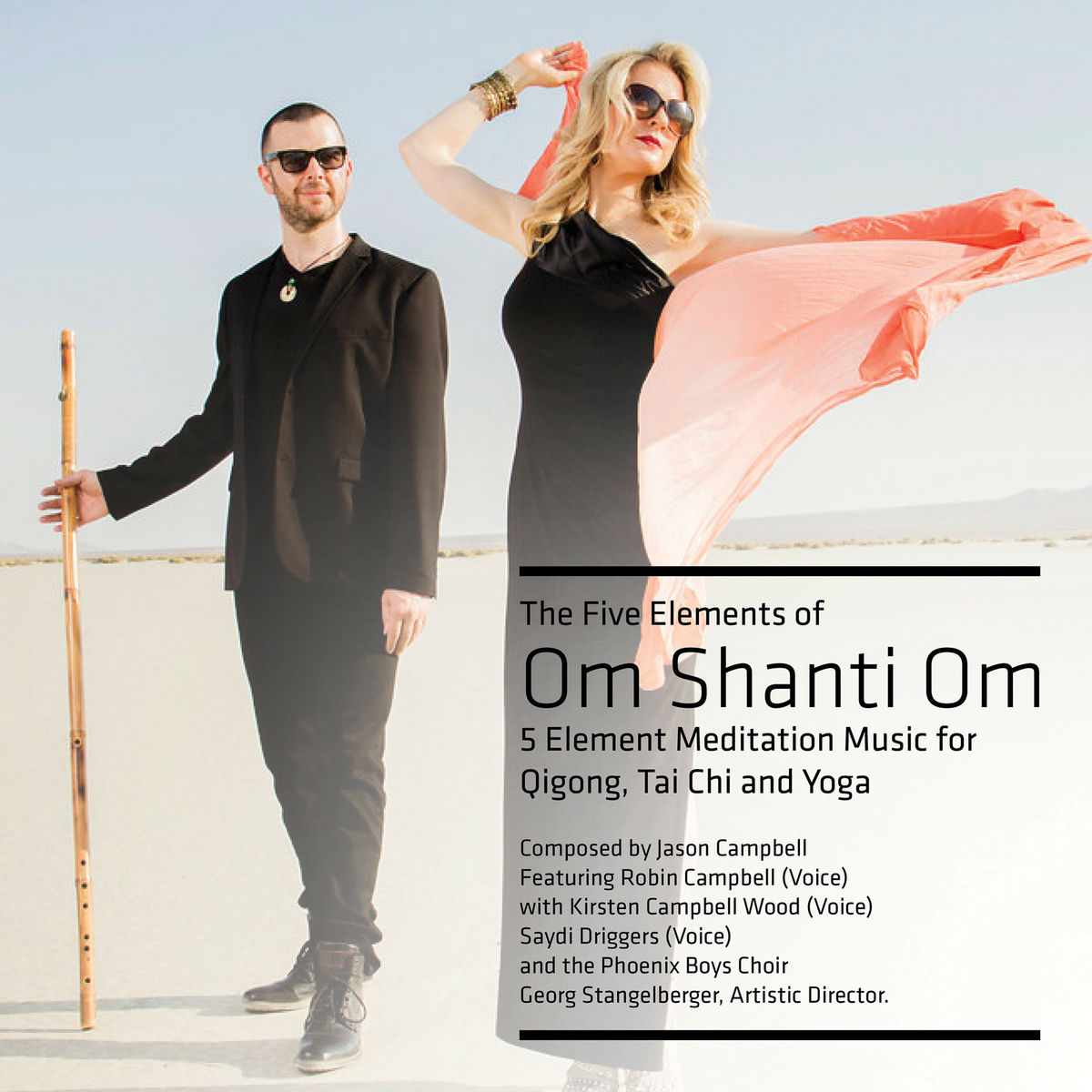 Album cover of The Five Elements of Om Shanti Om: 5 Element Meditation Music for Qigong, Tai Chi and Yoga