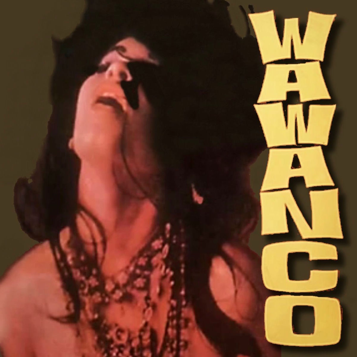 Album cover of Wawanco