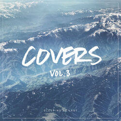 Cover of Covers, Vol. 3