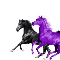 Cover of Old Town Road (feat. RM of BTS) (Seoul Town Road Remix)