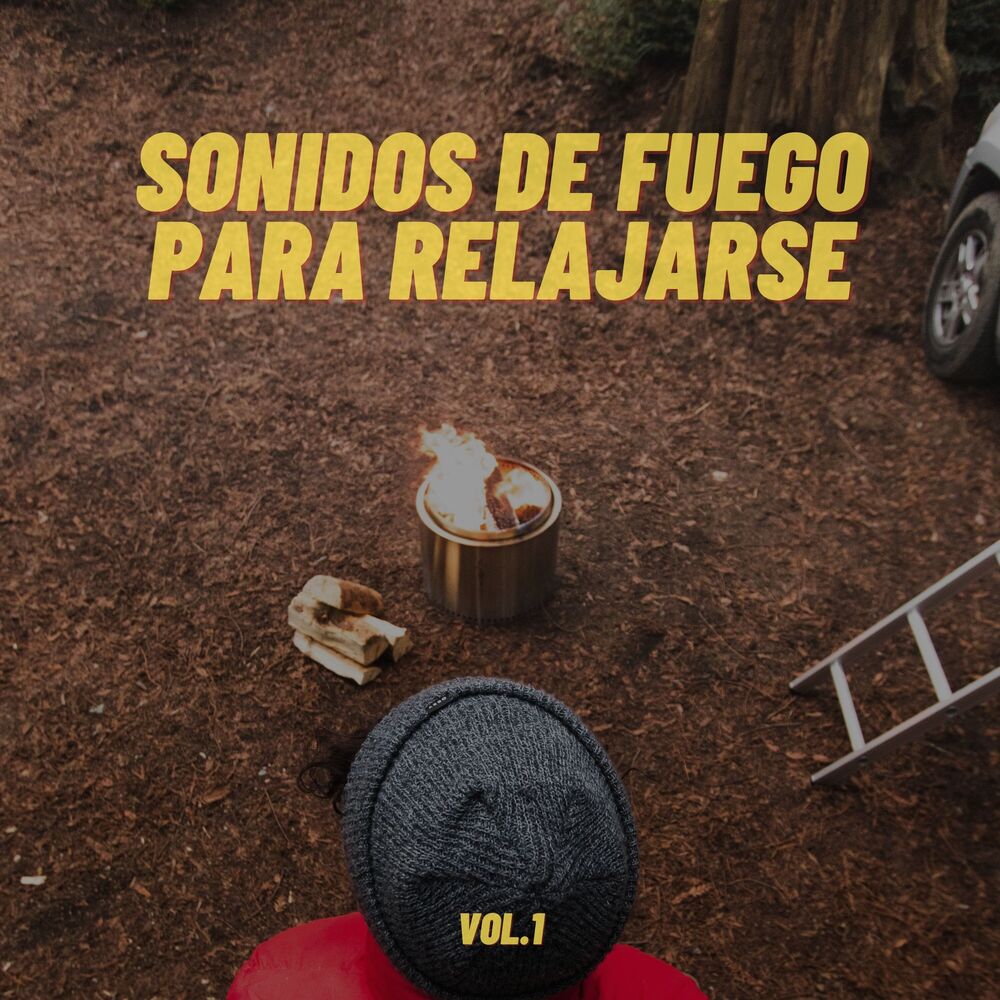 Picture of Sonidos de Fuego para Relajarse Vol. 1