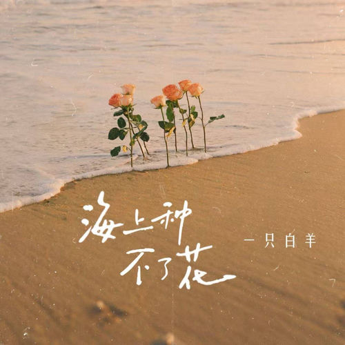 海上种不了花