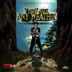 Cover of Any Weather