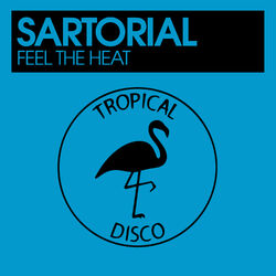 Cover of Feel The Heat