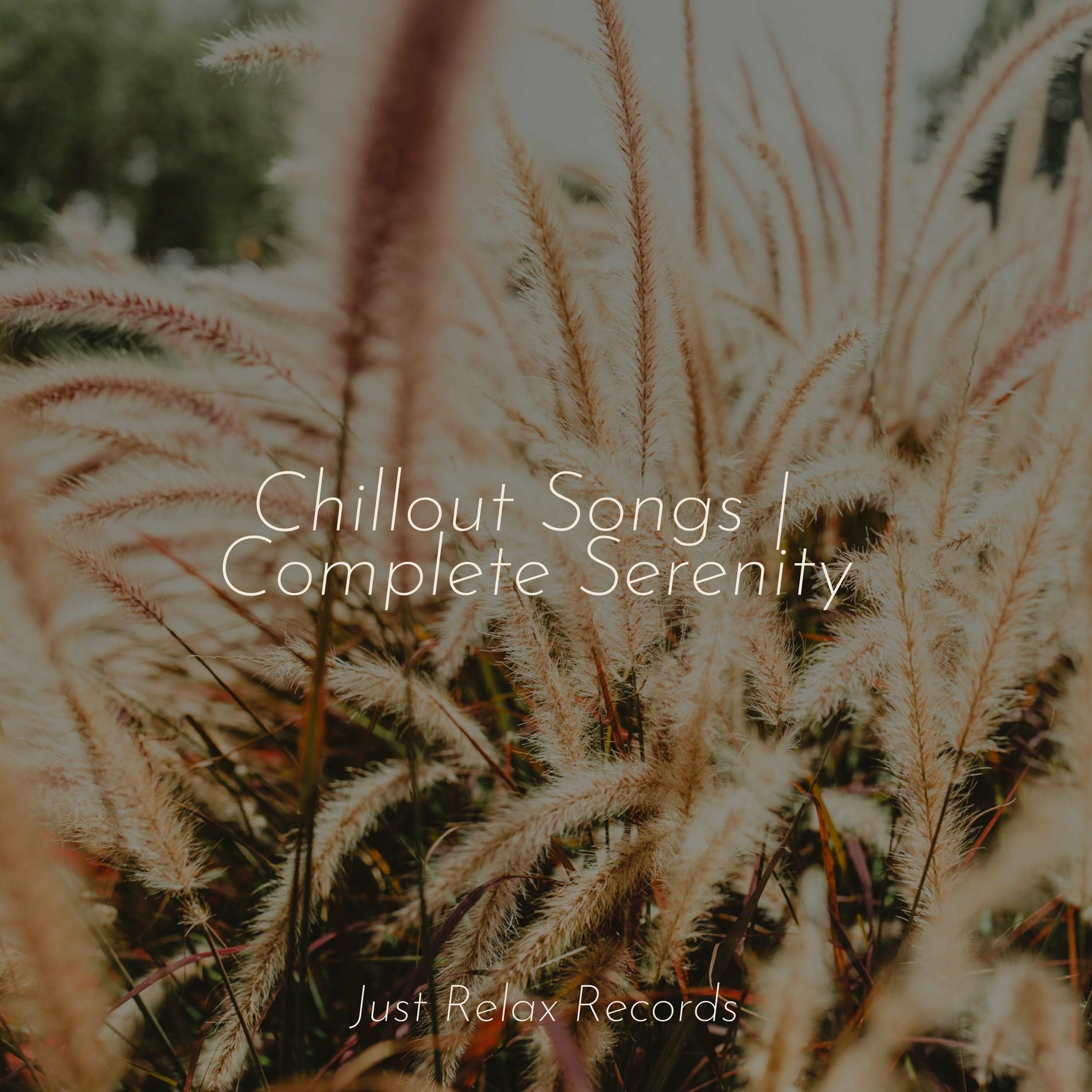 Album cover of Chillout Songs | Complete Serenity