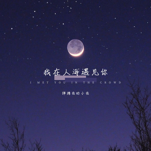 我在人海遇见你 (女声版)