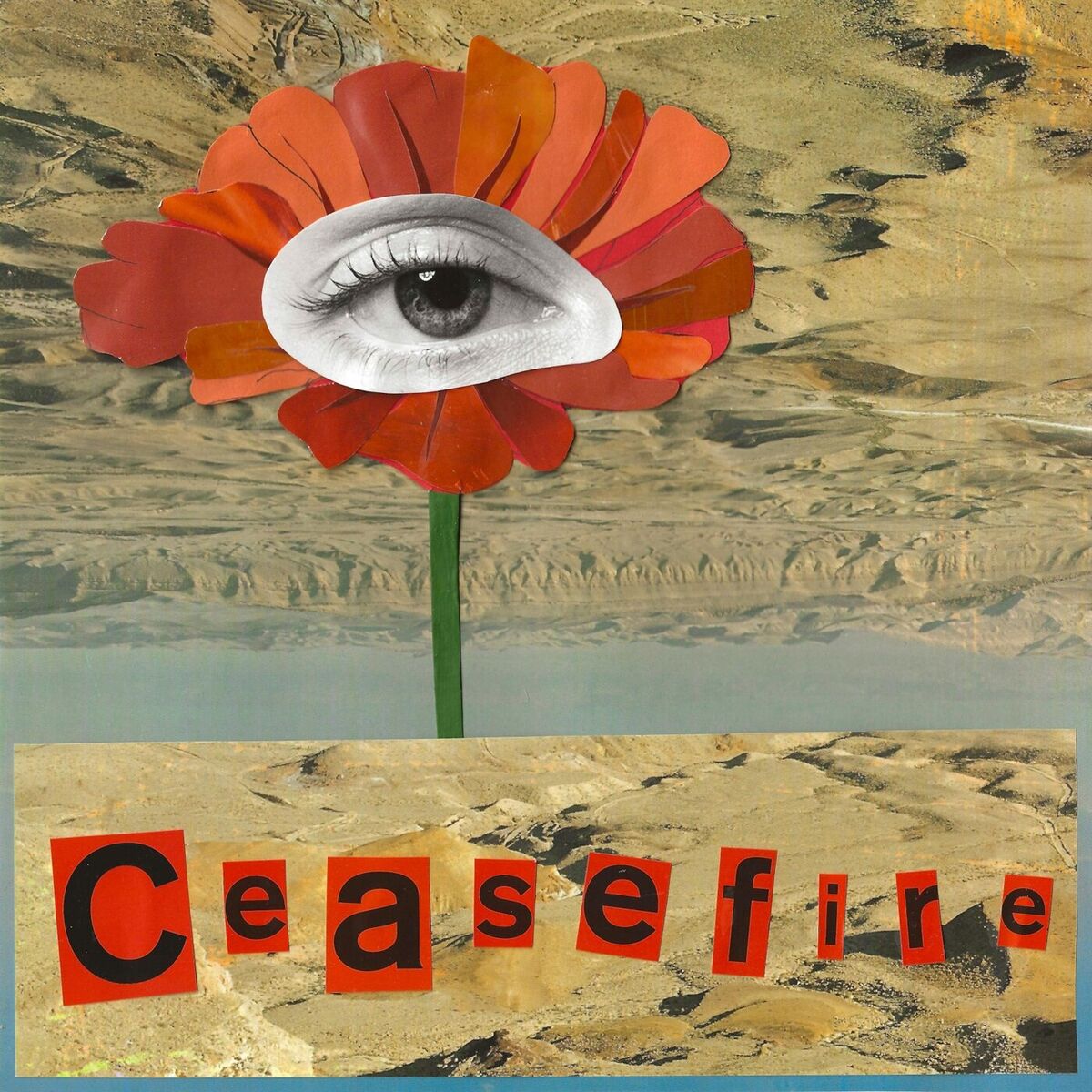 Album cover of Ceasefire