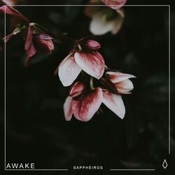 music cover