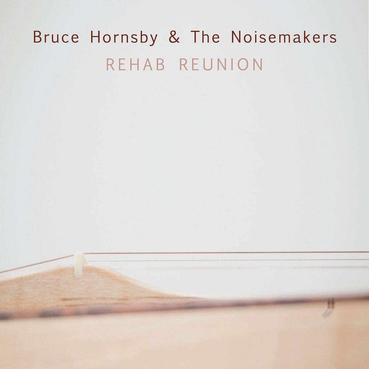 Album cover of Rehab Reunion