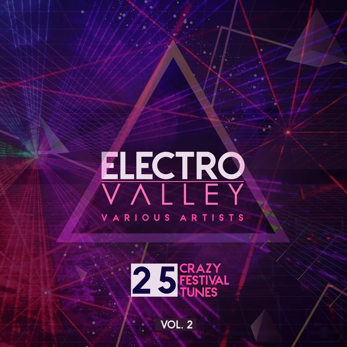 Album cover of Electro Valley (25 Crazy Festival Tunes), Vol. 2