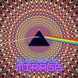 Cover of Electronic Mirage