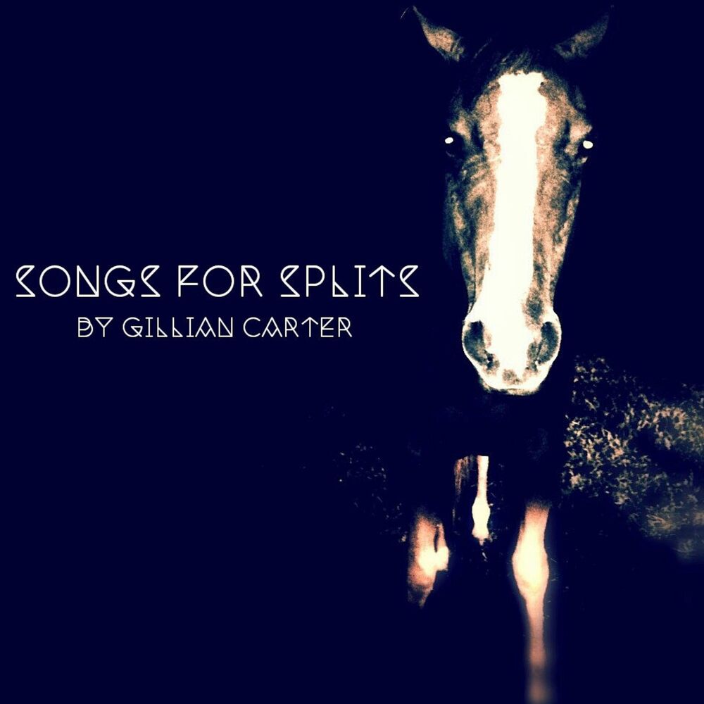 Picture of Songs for Splits