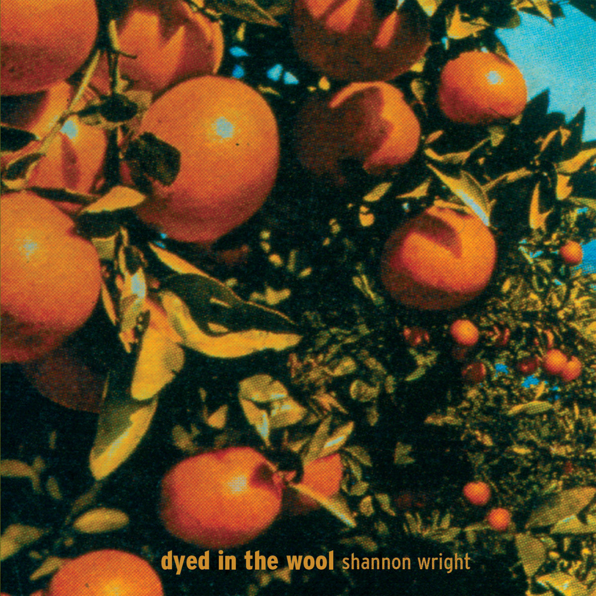 Album cover of Dyed in the Wool
