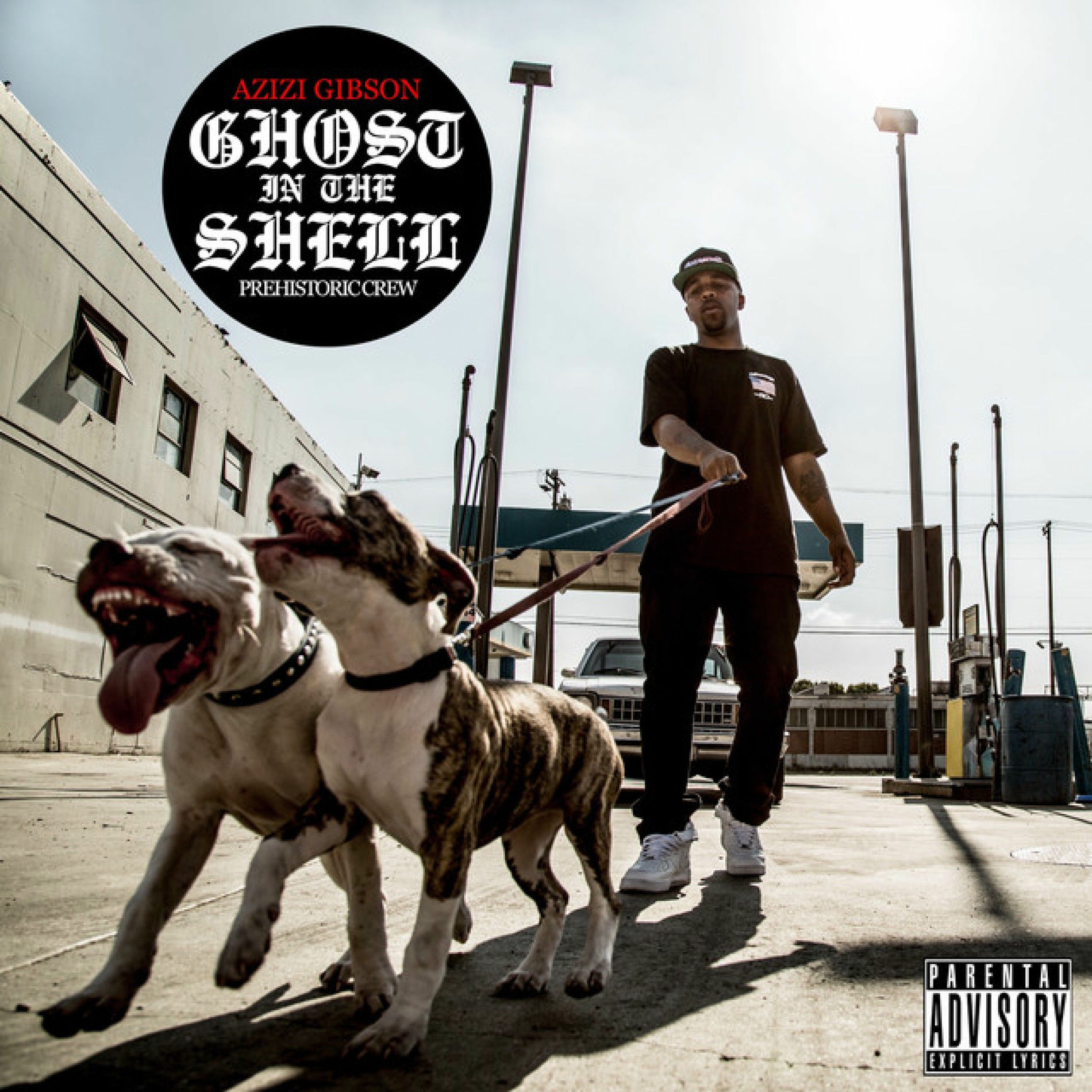 Album cover of Ghost in the Shell