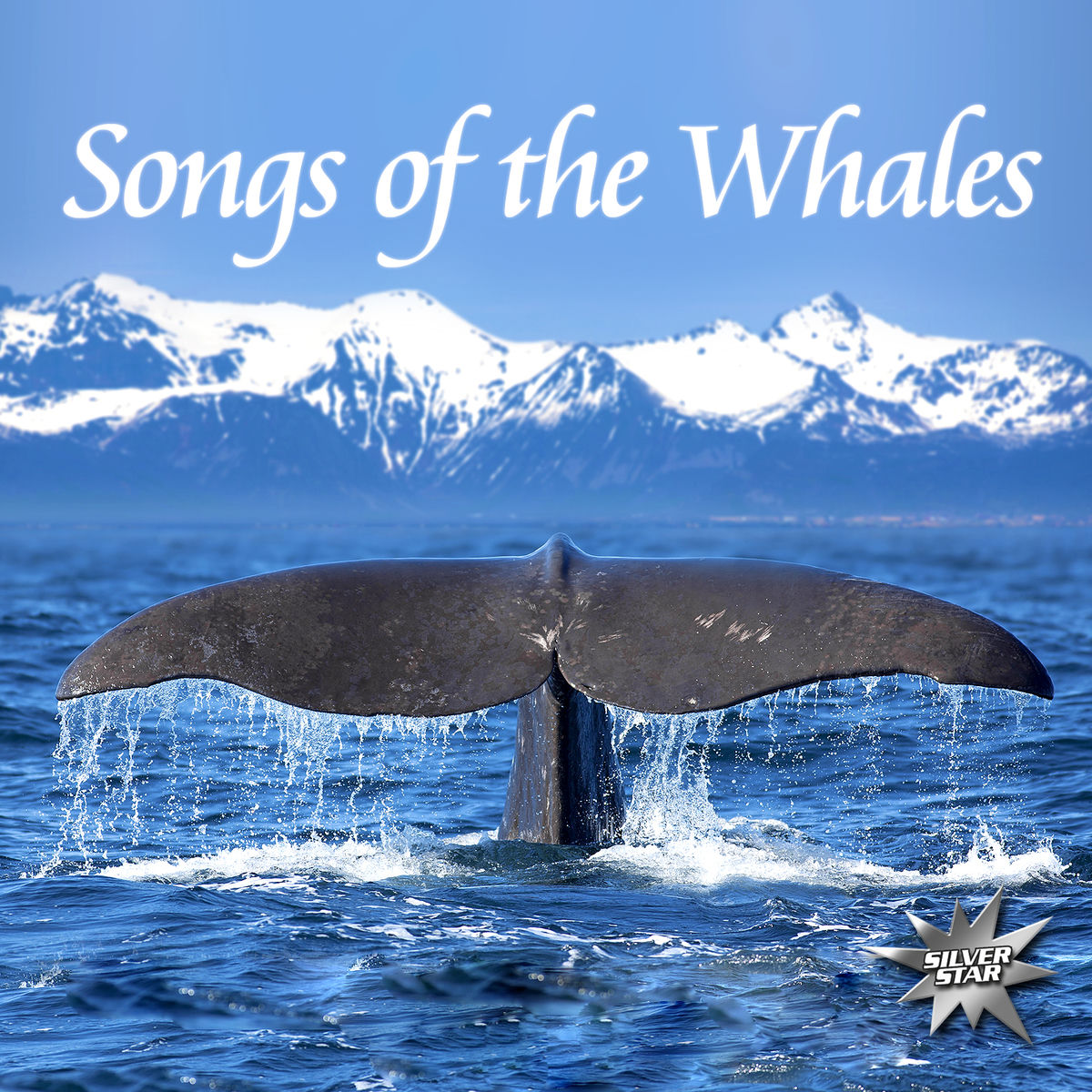 Album cover of Songs Of The Whales