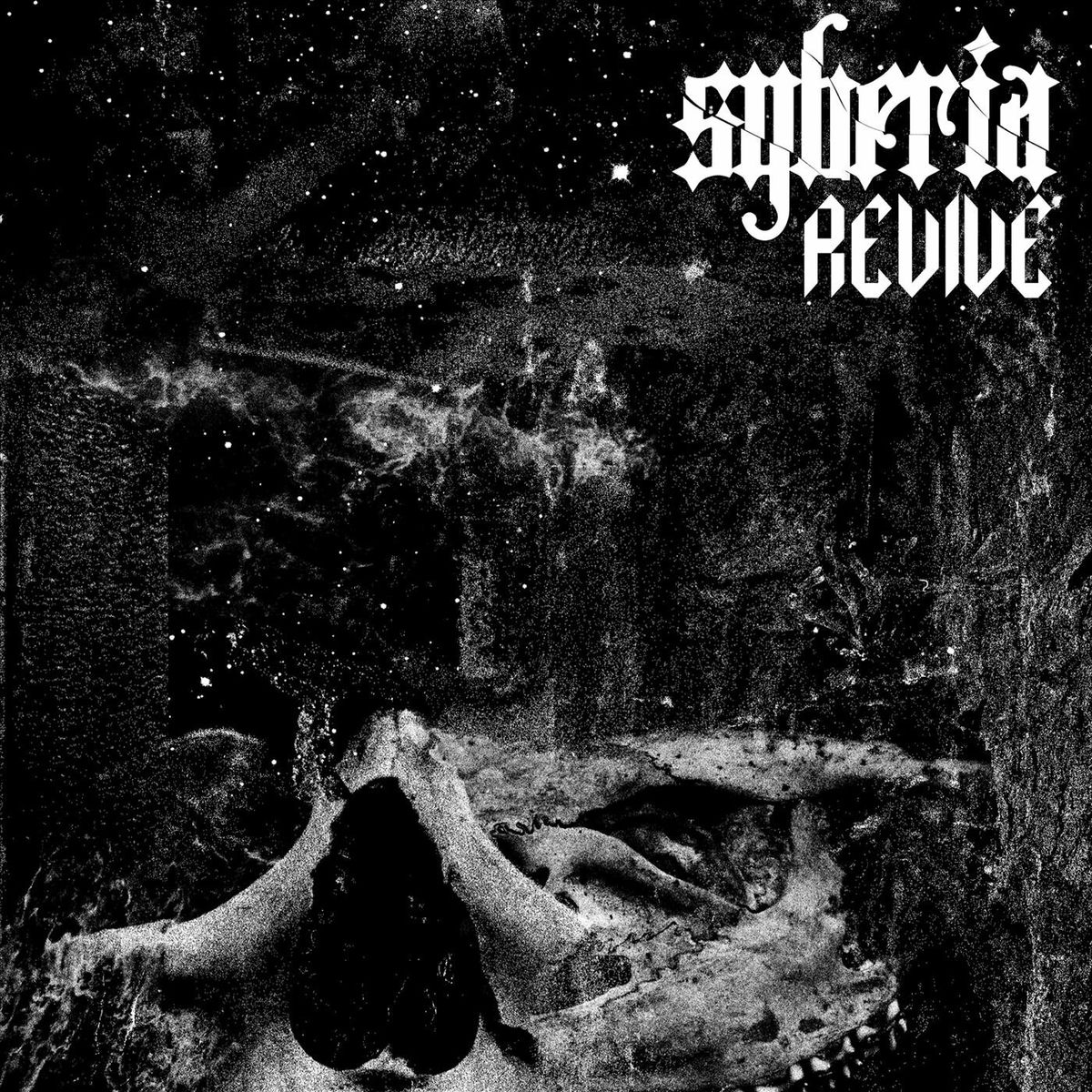 Album cover of Revive