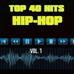 Cover of Top 40 Hits Hip Hop, Vol. 1