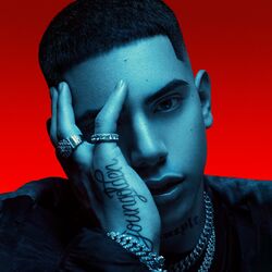 Cover of Young Golden
