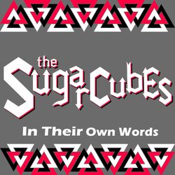 Cover of In Their Own Words