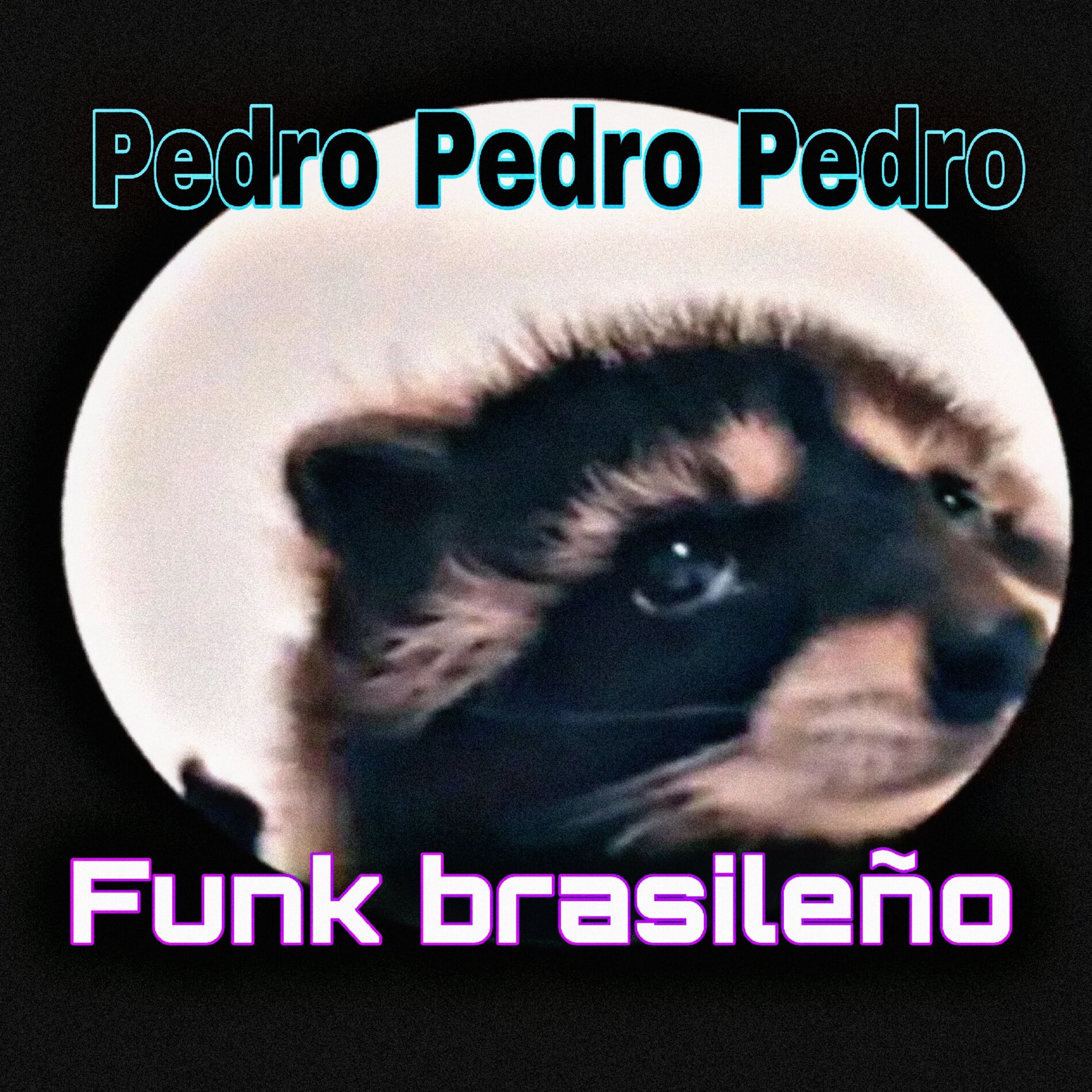 Album cover of Pedro Pedro Pedro - Funk Brasileño