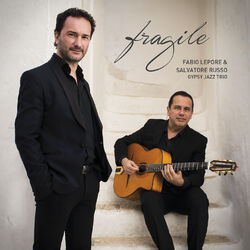 Cover of Fragile