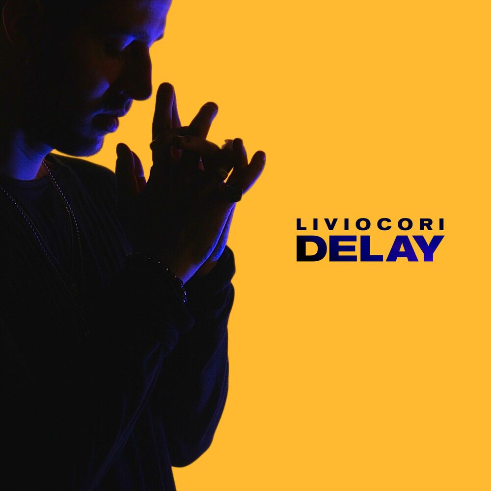 Picture of DELAY